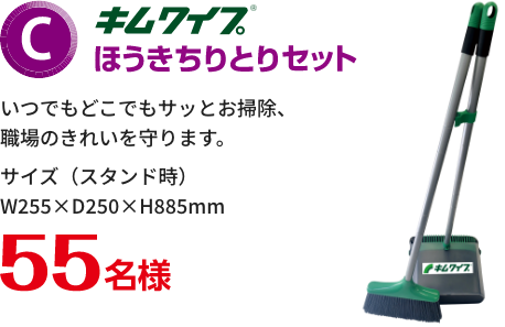 C賞 キムワイプ ほうきちりとりセット 55名様